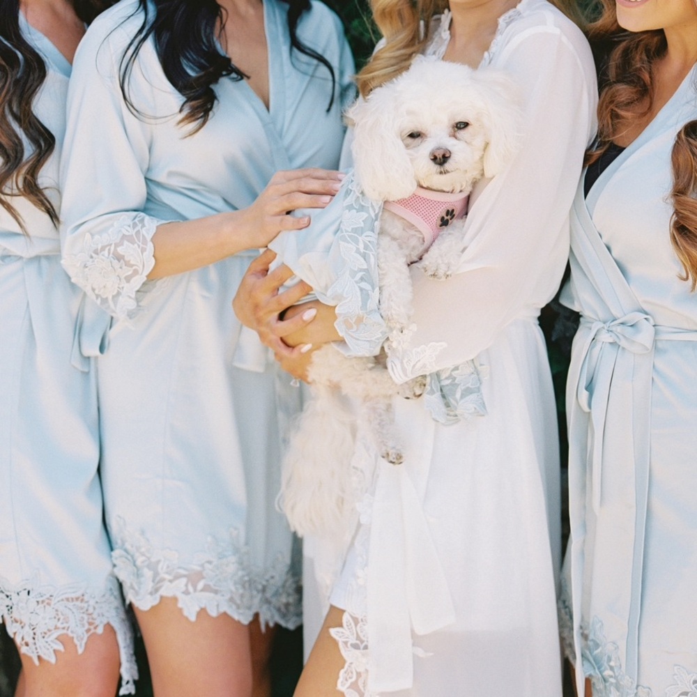 Blue le rose XXS/XS robe